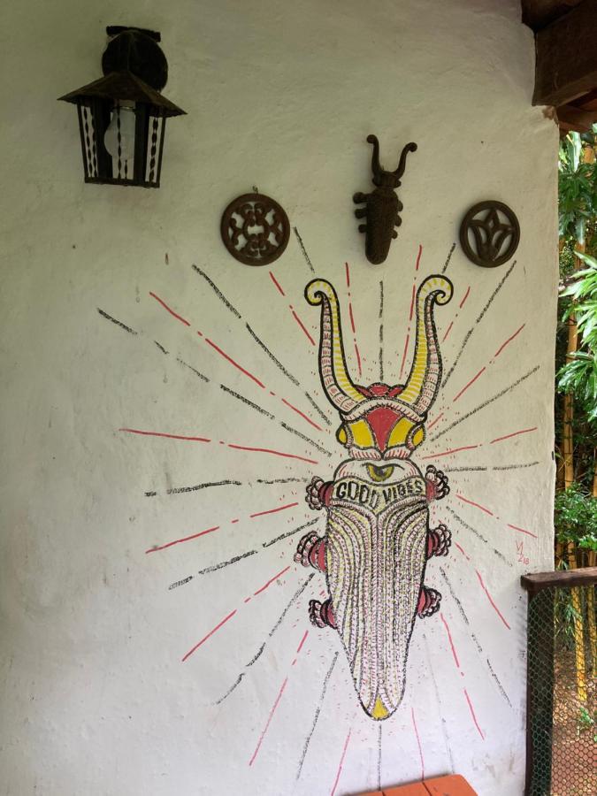 Вілла Sitio Macaubas Do Moinho Алту-Параїзу-ді-Гояс Екстер'єр фото